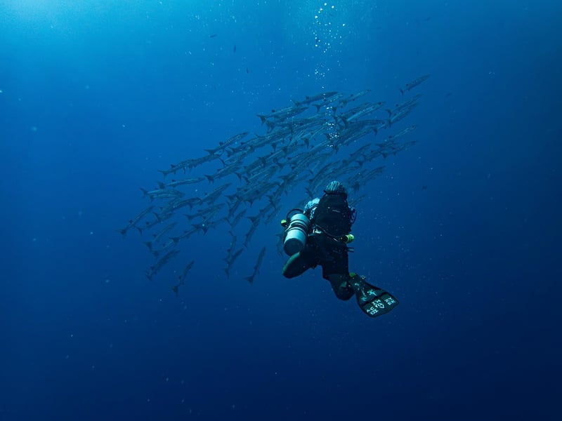 Deep-Sea Expeditions